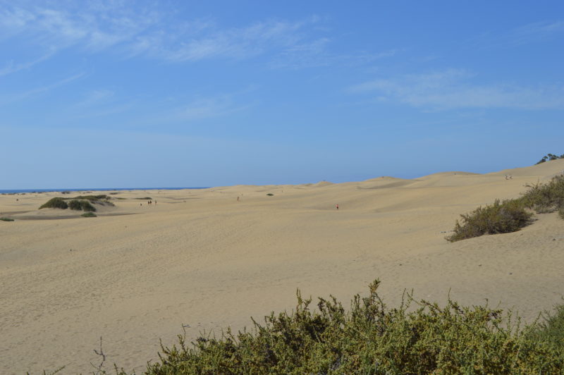 dunes de Maspalomas