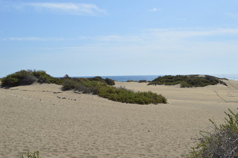 dunes de Maspalomas