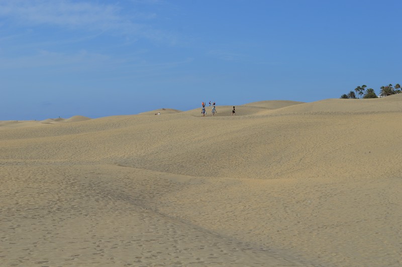 dunes de Maspalomas