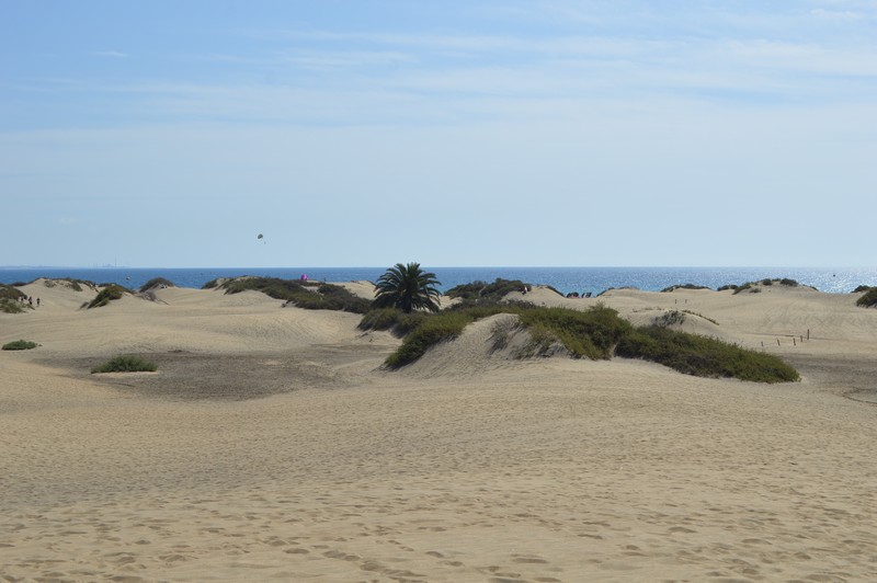 dunes de Maspalomas