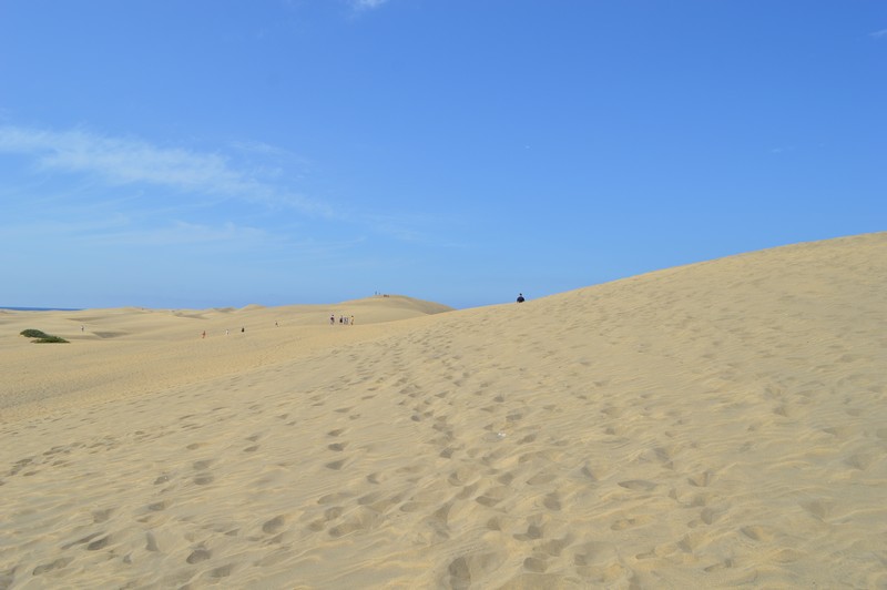 dunes de Maspalomas