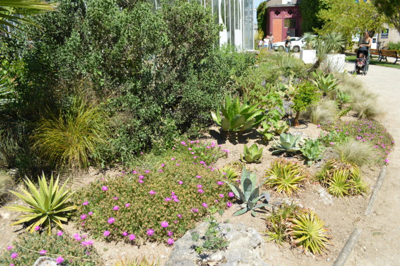 jardin des plantes nantes