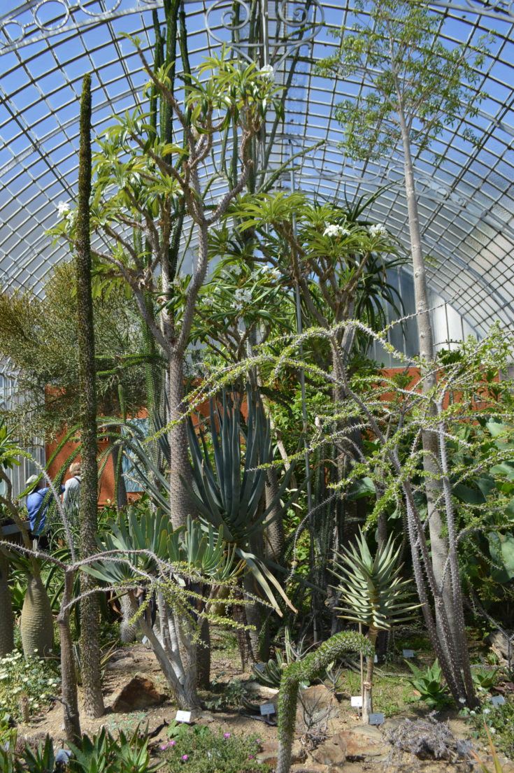 jardin des plantes nantes