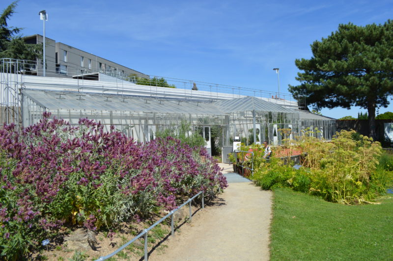 jardin des plantes nantes