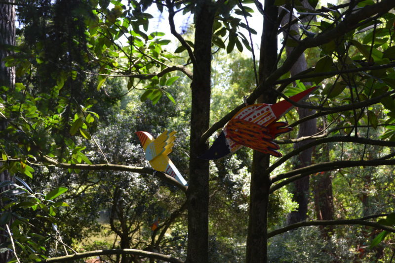 jardin des plantes nantes