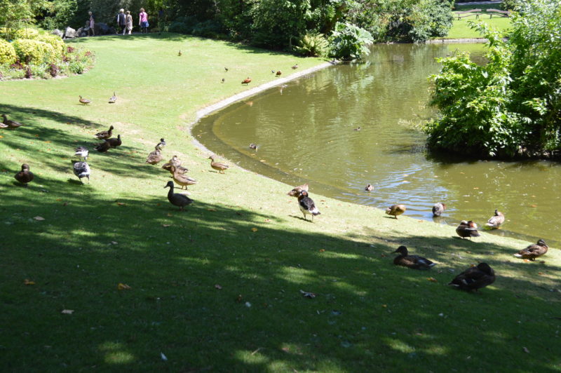 jardin des plantes nantes