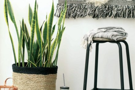 déco boho