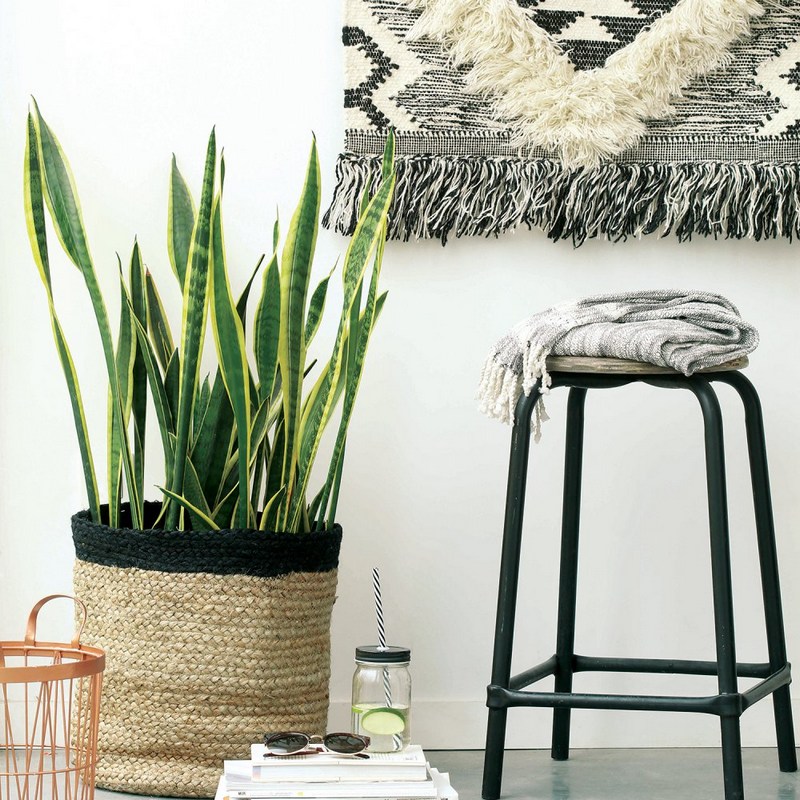 déco boho