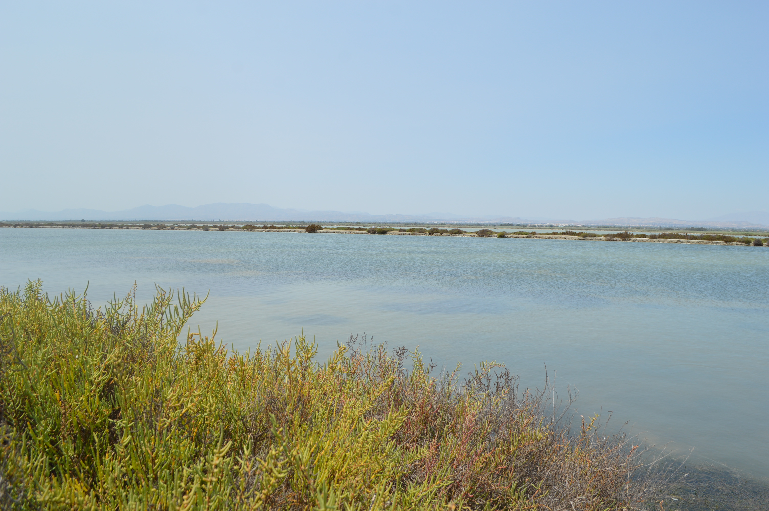 santa pola étangs d'eau salée