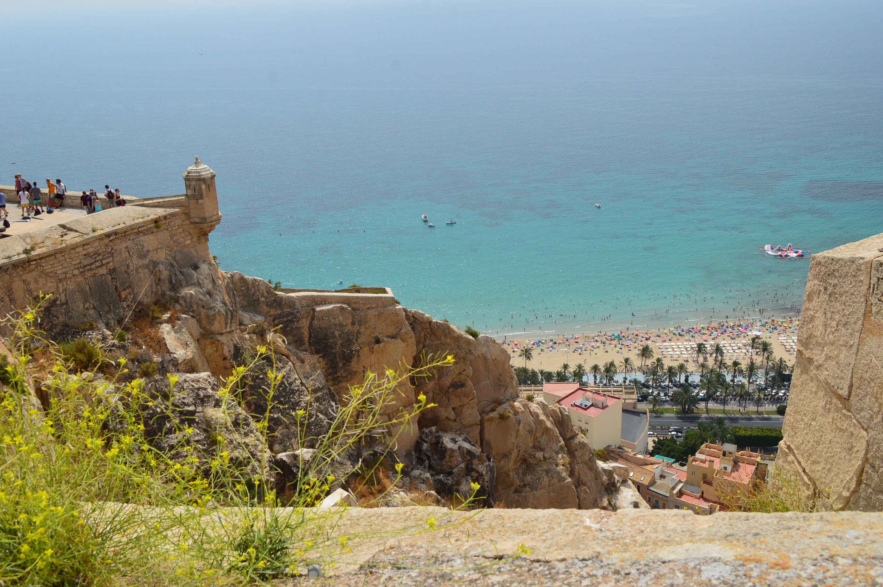 Alicante