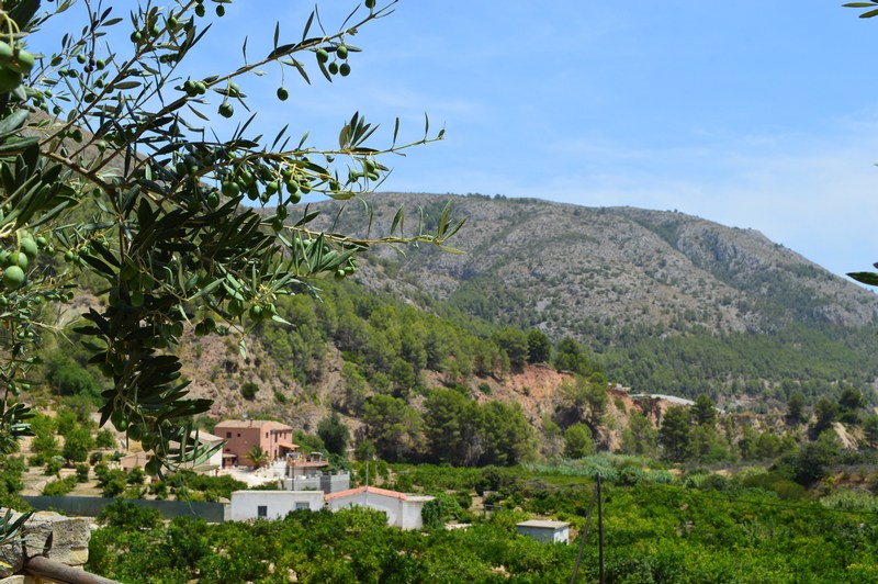 El Castell de Guadalest