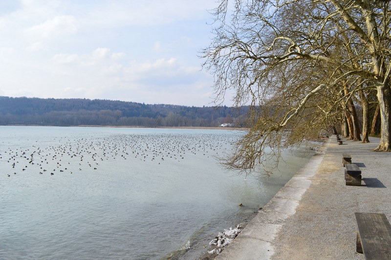 Sur la rive allemande du lac de ConstanceSur la rive allemande du lac de Constance
