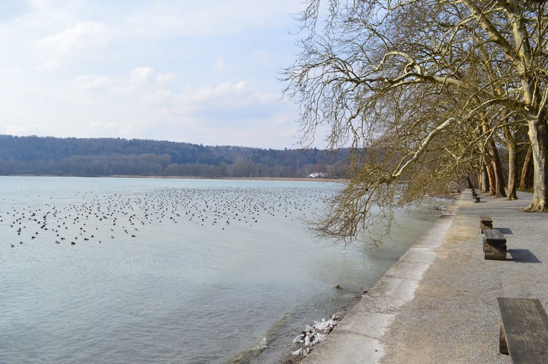 Sur la rive allemande du lac de ConstanceSur la rive allemande du lac de Constance