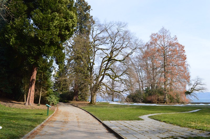 Sur la rive allemande du lac de Constance