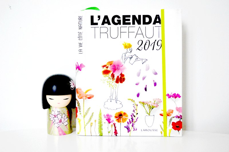 Ma sélection d'agendas 2019