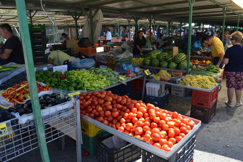 Carnet de voyage à Rhodes : que faire ? que voir ?