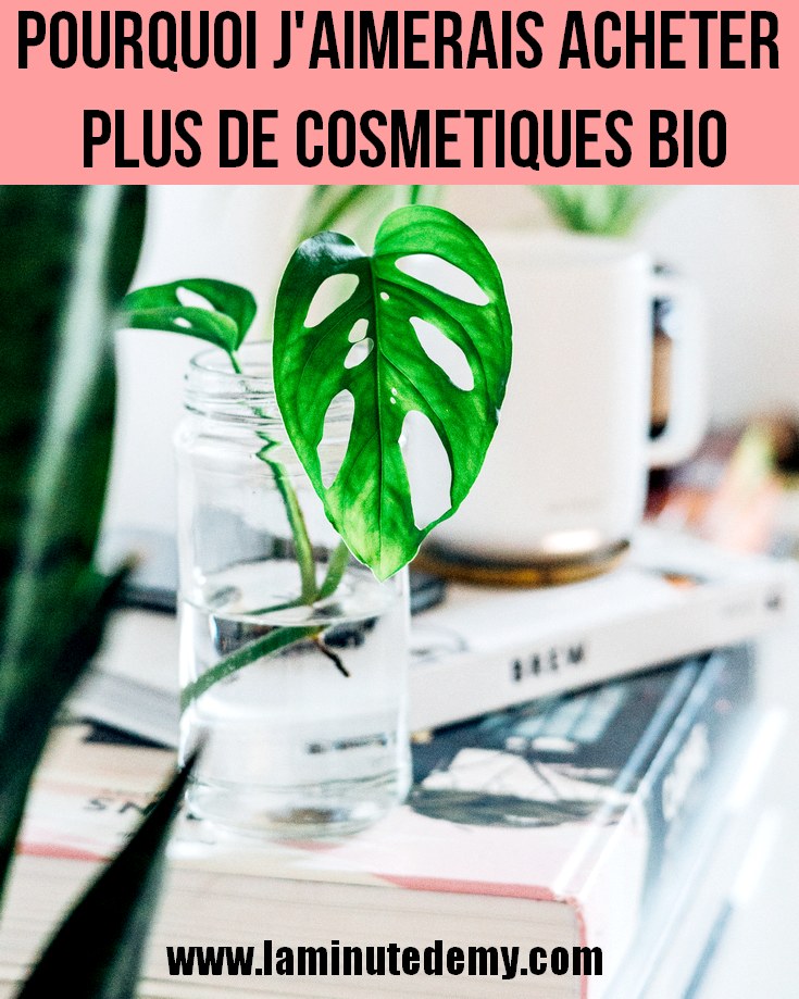 Pourquoi j'aimerais acheter plus de cosmétiques bio