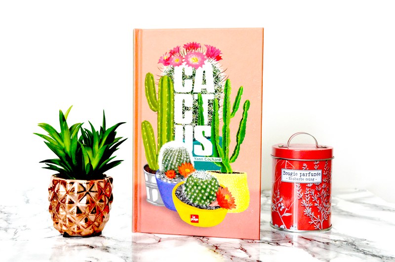 Cactus : comment bien s'en occuper ?