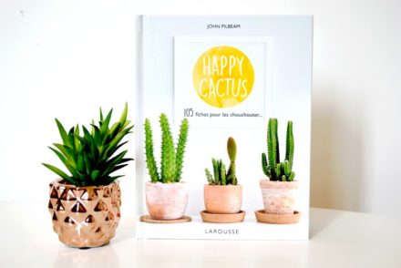 HAPPY CACTUS : Choix des plantes et comment les chouchouter ?