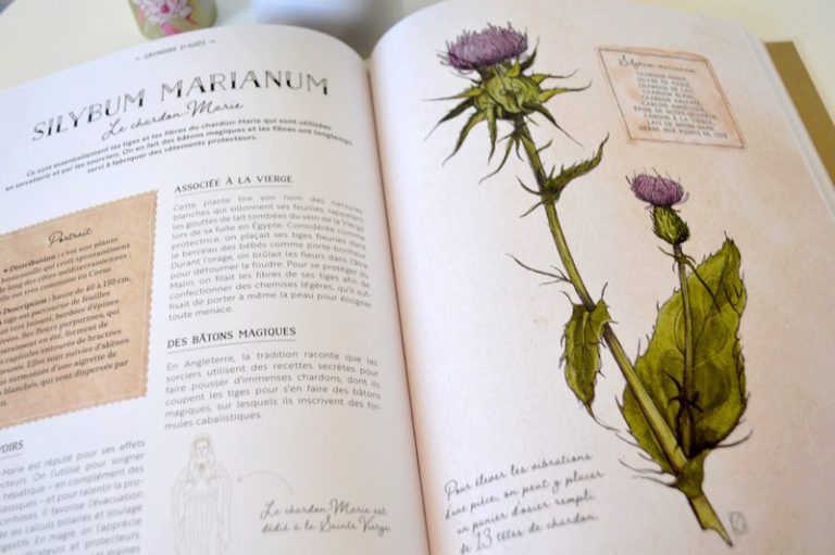 Les Druides Et Leurs Secrets – Arrête Ton Char