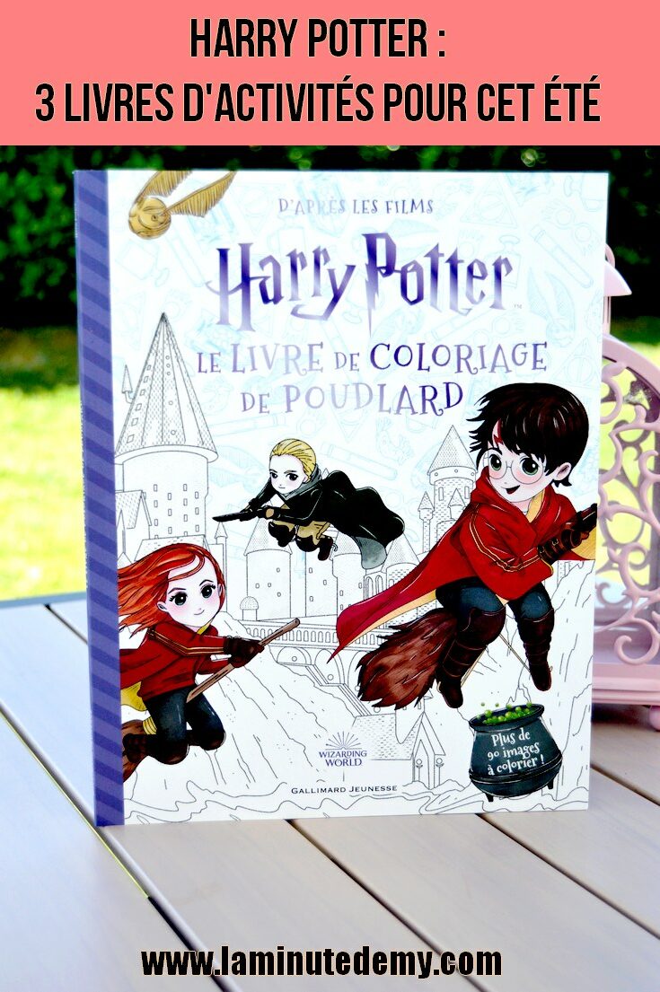 Harry Potter. Le Jeu des Sortilèges - Gallimard Jeunesse